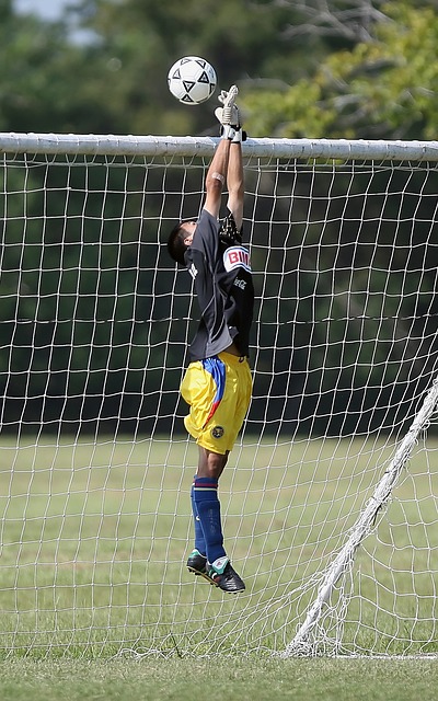 不得不启用 不得不启用