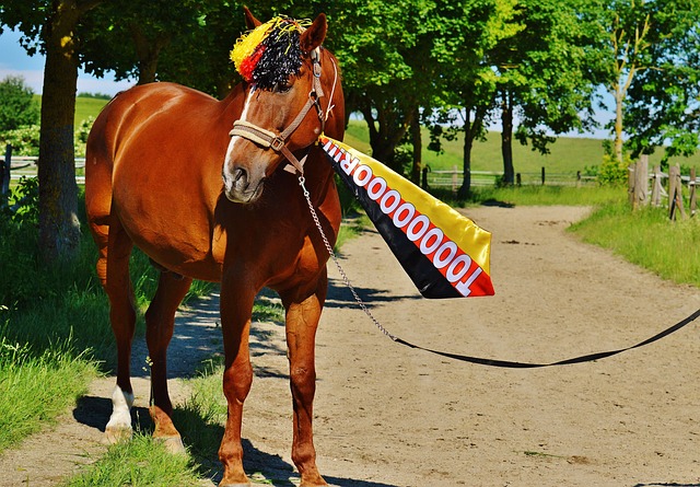 重要调整 重要调整