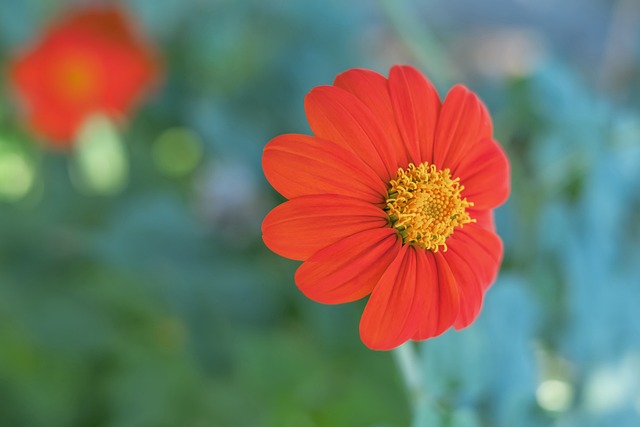 导致搜索排 导致搜索排