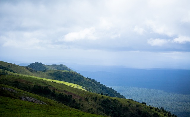 的身体理解 的身体理解