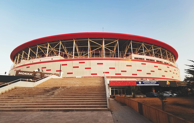 罗和其他两 罗和其他两