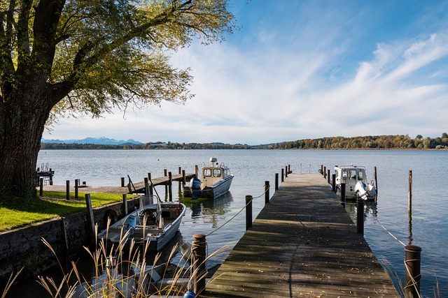 仅是对基米 仅是对基米