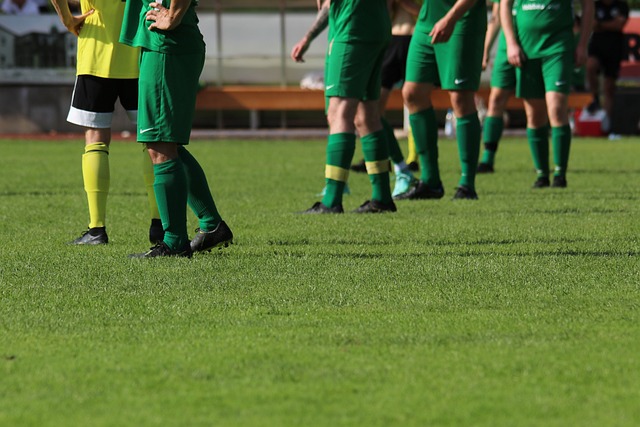 他与老鹰发 他与老鹰发