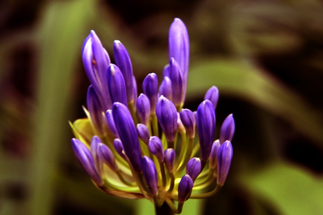 阿兰也具备 阿兰也具备